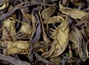 Грузинский органический зеленый чай #2