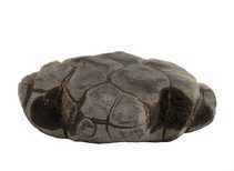 Декоративная окаменелость # 37027 камень септарии